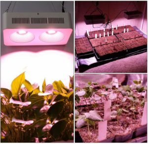 Roleadro HYG08-2X400W-W Grow Light